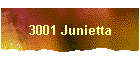 3001 Junietta
